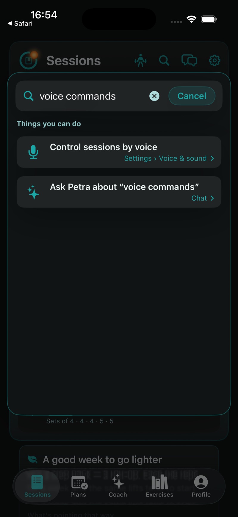 Torch — a search for voice commands, with the route to the exact setting